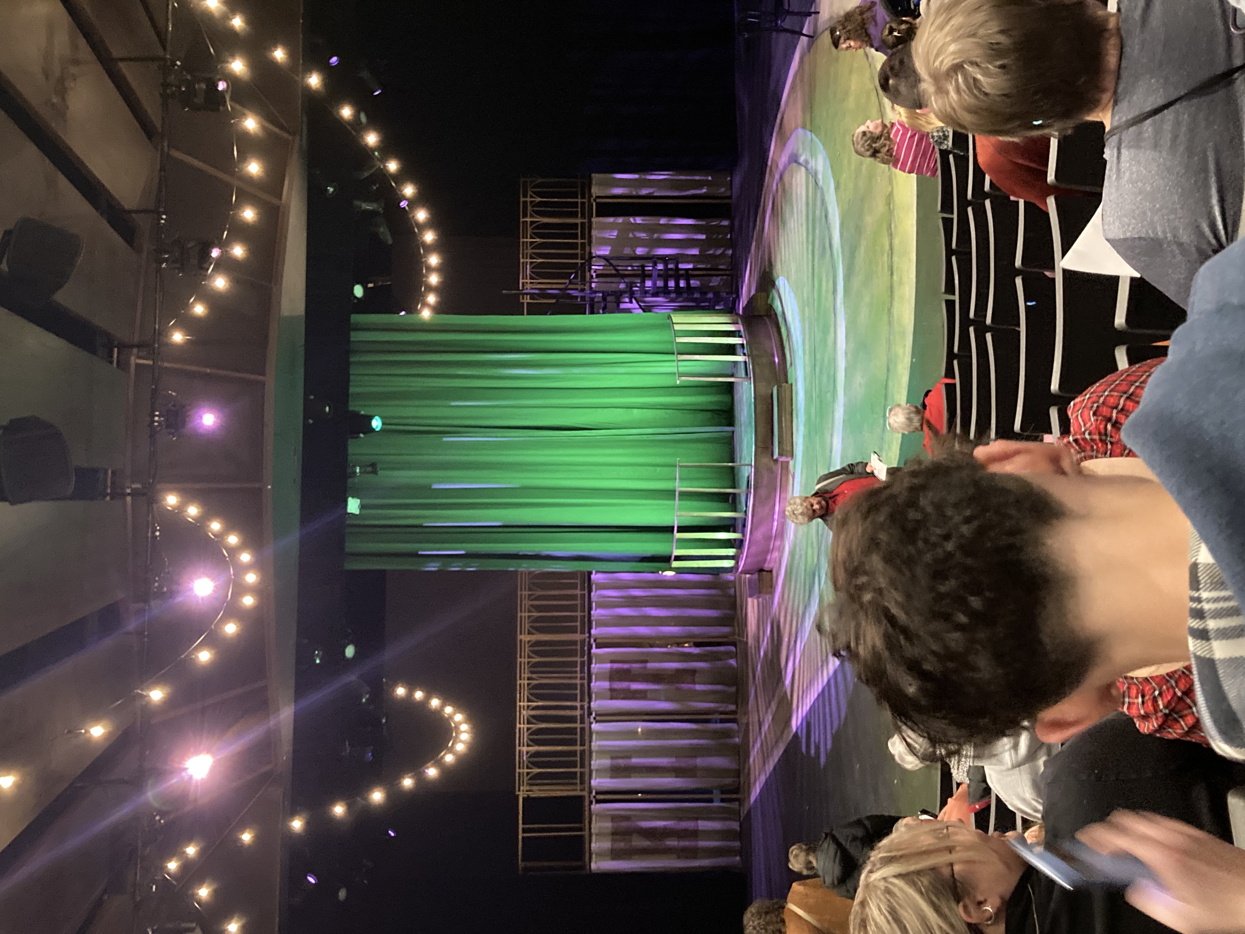Picture of a stage with purple lighting and a green curtain in the middle